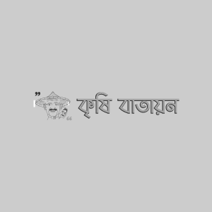 বারি পুঁইশাক ২