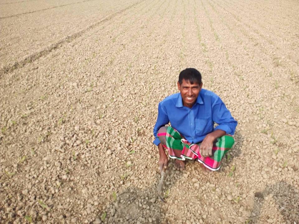 রাজস্ব খাত এর ভুট্টা প্রর্দশনী